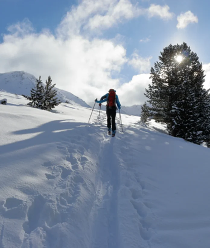 Ski tourer walks on snow-covered ridge, sun shines through tree